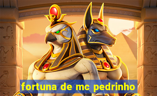 fortuna de mc pedrinho